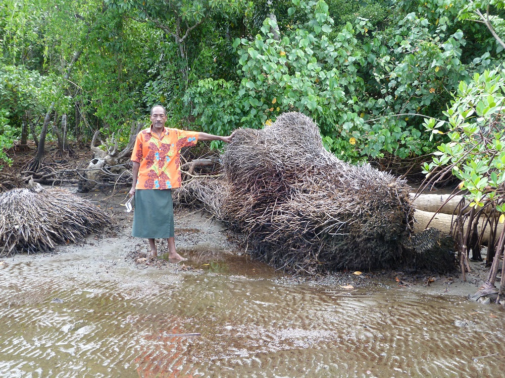 Project launch: Enhancing protection and empowerment of migrants and communities affected by climate change and disasters in the Pacific region