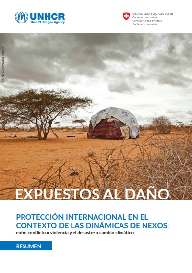 Resumen – Expuestos al daño: Protección internacional en el contexto de las dinámicas de nexos: entre conflicto o violencia y el desastre o cambio climático