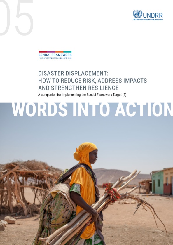 Words into Action guidelines – Disaster displacement: How to reduce risk, address impacts and strengthen resilience