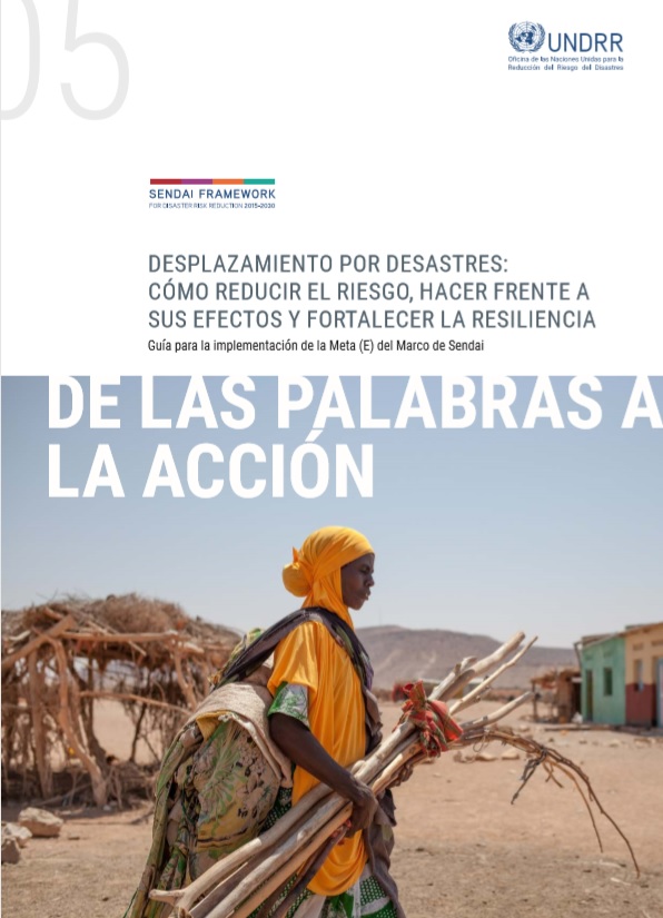 De las palabras a la acción – Desplazamiento por desastres: Cómo reducir el riesgo, hacer frente a sus efectos y fortalecer la resiliencia