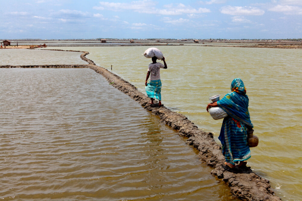 Disaster Displacement at COP25