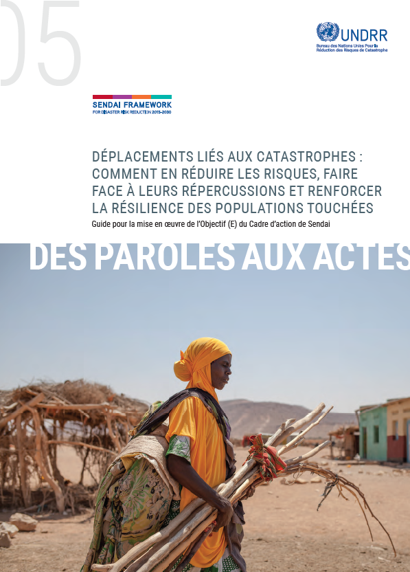 Des Paroles aux actes – Déplacements liés aux catastrophes: Comment en réduire les risques, en atténuer les répercussions et renforcer la résilience des populations touchées