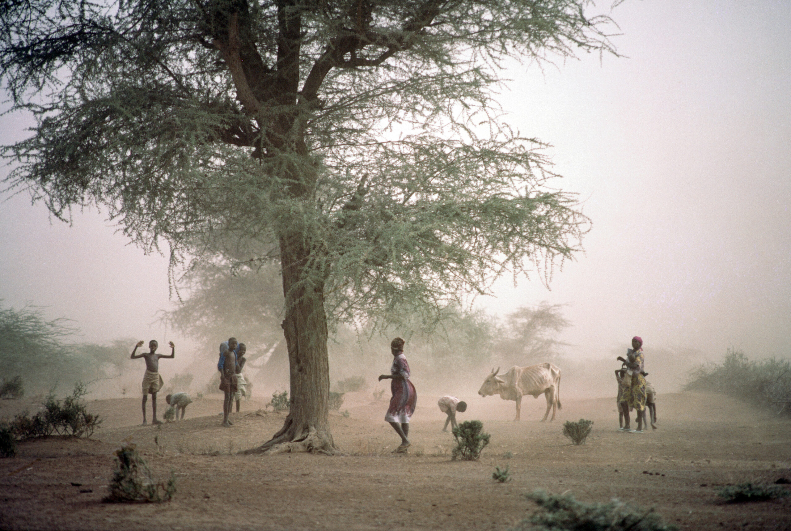 Virtual Event | Human Mobility, Disasters and Climate Change in Africa