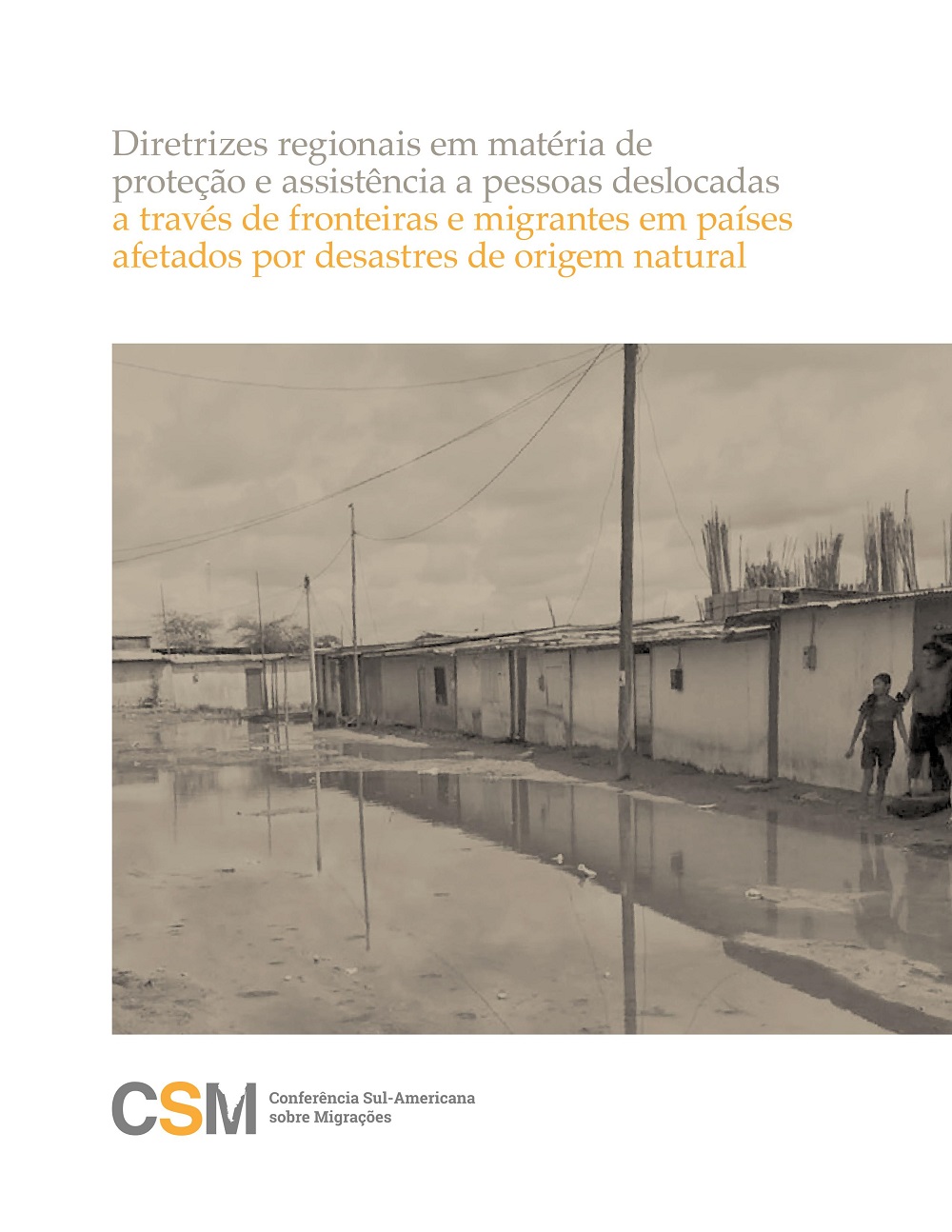 Diretrizes Regionais em Matéria de Proteção e Assistência a Pessoas Deslocadas a Través de Fronteiras e Migrantes em Países Afetados por Desastres de Origem Natural