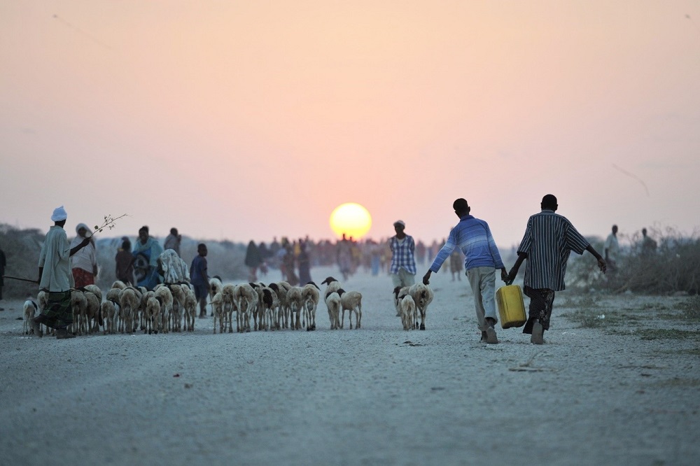 Dialogue on Human Mobility, Climate Change and Disasters Addresses Regional Perspectives