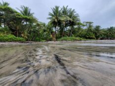 National Forum On Human Mobility And Climate Change In Costa Rica