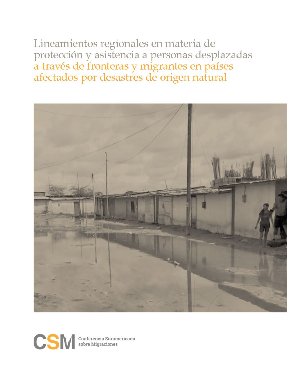 Lineamientos regionales en materia de protección y asistencia a personas desplazadas a través de fronteras y migrantes en países afectados por desastres de origen natural